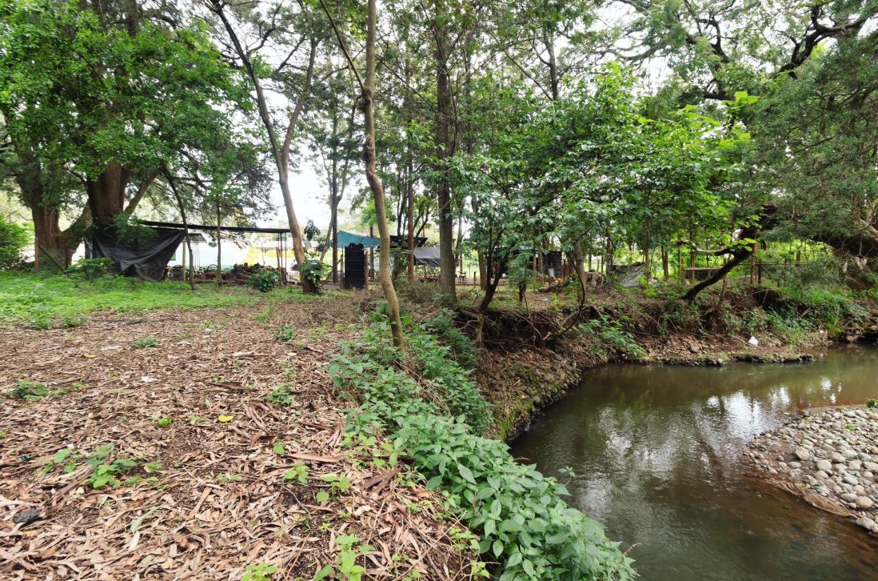 Arabel'S Place Riverside Villas 纳纽基 外观 照片